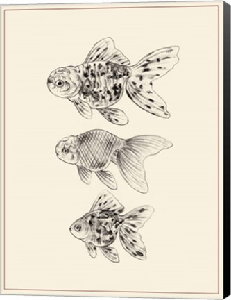 Framed Goldfish II Print
