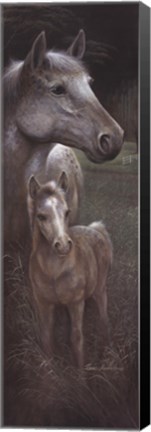 Framed Meredith's Tammy Print