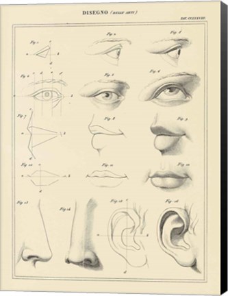 Framed Face Chart Print