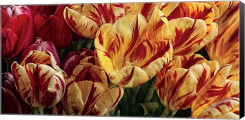 Framed Floral Tapestry Print