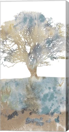 Framed Water Tree II Print