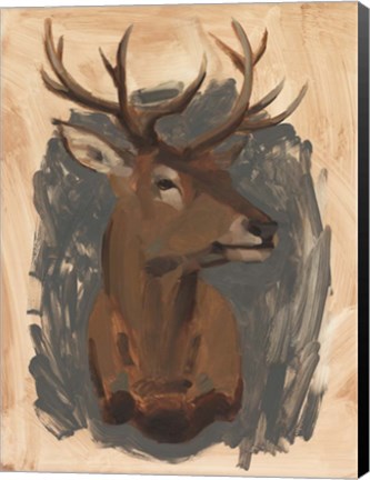Framed Red Deer Stag I Print