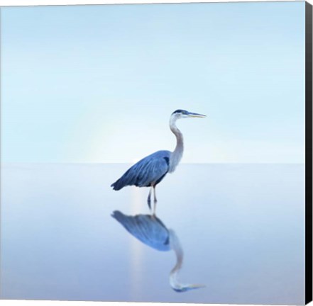 Framed Beachscape Heron II Print