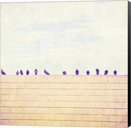 Framed Birds on Wires III Print