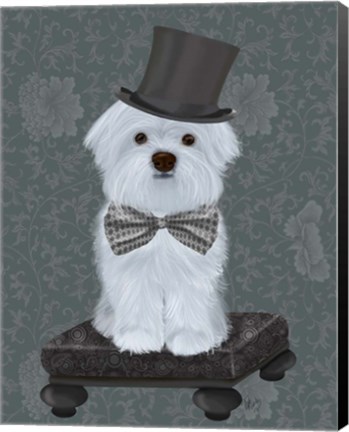 Framed Maltese with Top Hat Print