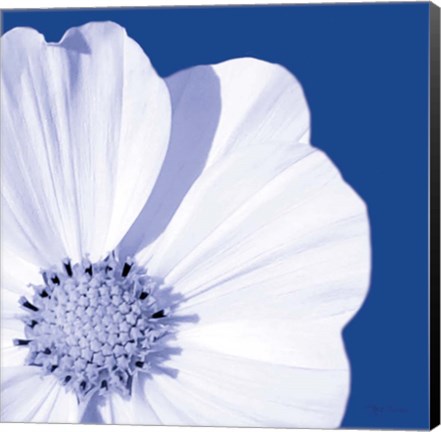 Framed Flower Pop blue III Print