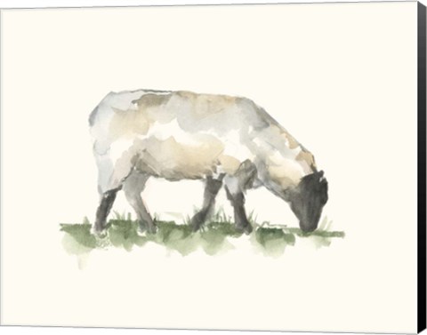 Framed Grazing Farm Animal III Print