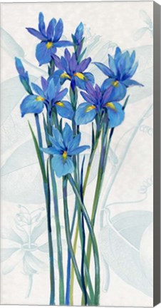 Framed Blue Iris Panel I Print