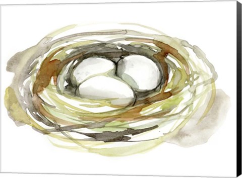 Framed Watercolor Nest I Print