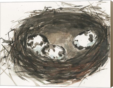 Framed Nesting Eggs II Print