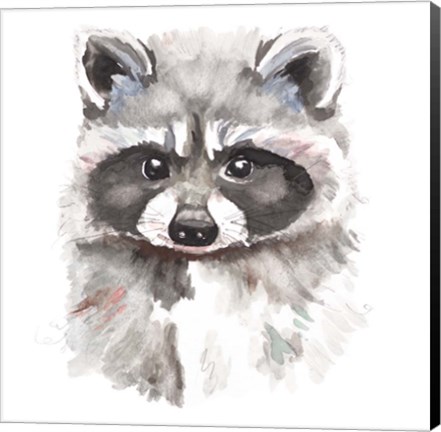 Framed Baby Raccoon Print