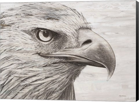 Framed Eagle landscape Print