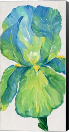 Framed Iris Bloom in Green I Print