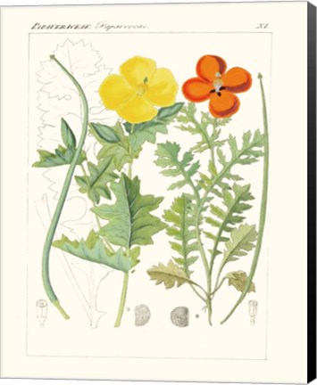 Framed Bright Botanicals VII Print