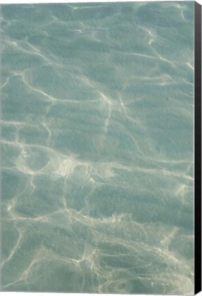 Framed Beach Shore VII Print