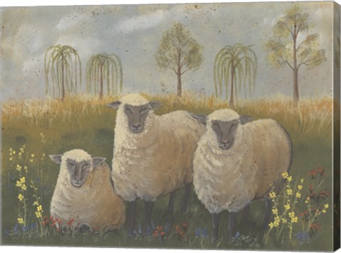 Framed Three Sheep Print