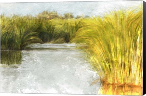 Framed Marshy Wetlands No. 2 Print