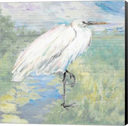 Framed Wild Egret Print