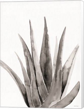 Framed Organic Botanical II Print