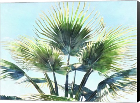 Framed Pleasant Palms II Print