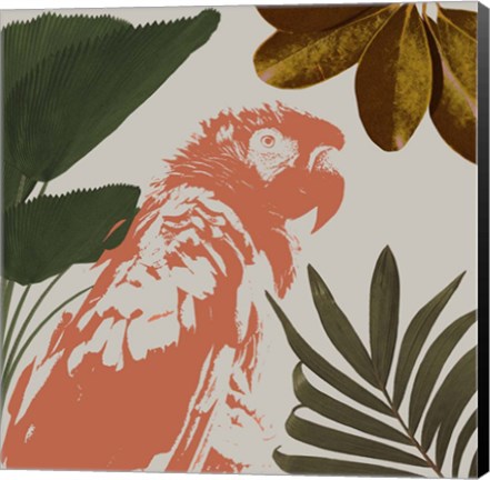 Framed Graphic Tropical Bird I Print
