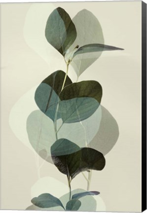 Framed Green Leaves 8 Print