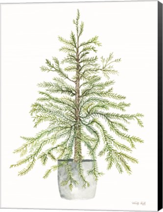 Framed Pine Tree in Pot I Print