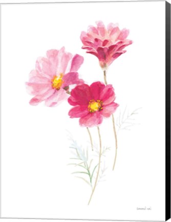 Framed Color of Spring II Print