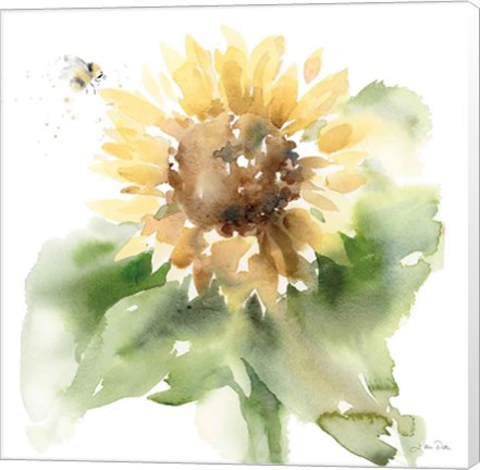 Framed Sunflower Meadow III Print