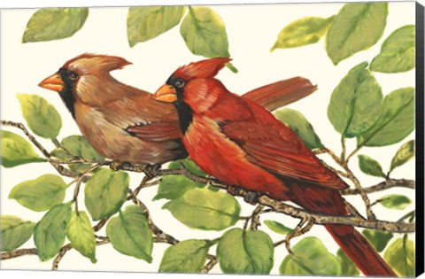 Framed Cardinals Print