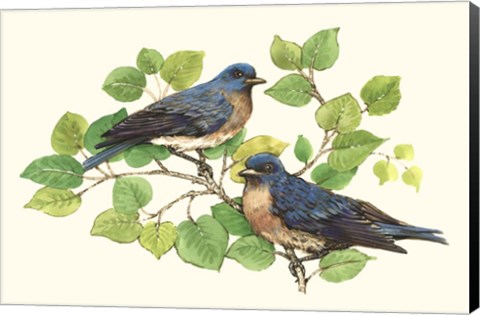 Framed Song Birds I Print