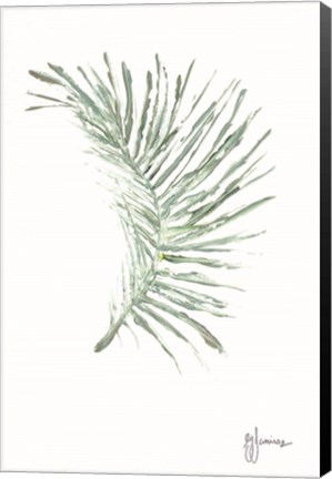 Framed Palm Frond Viridescent Print