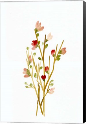 Framed Golden Pink Blossoms Print