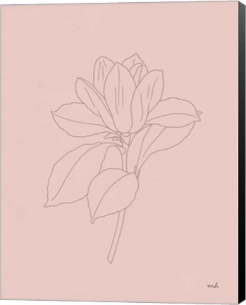 Framed Magnolia Line Drawing Pink Print