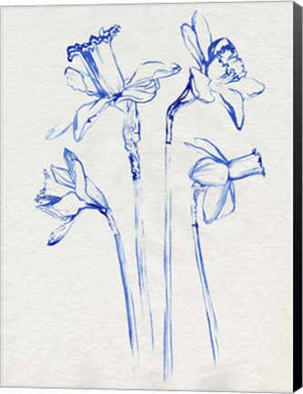 Framed Inky Daffodils II Print