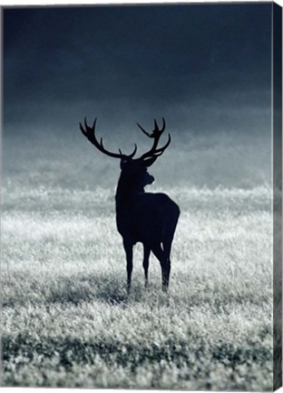 Framed Silhouette Deer Print