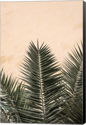 Framed Palm Leaves And Wall 1 Print