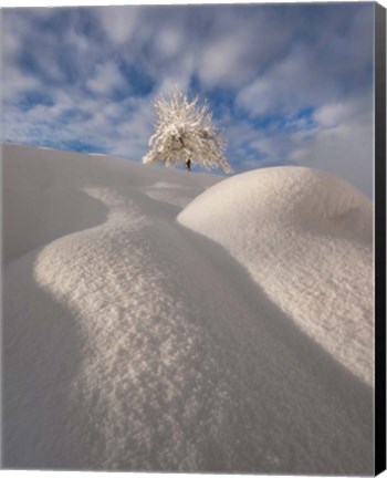Framed Curves of a Winter Landscape Print