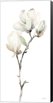 Framed White Magnolia II Print