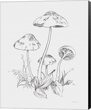 Framed Natures Sketchbook III Bold Light Gray Print