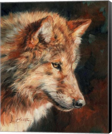 Framed Grey Wolf Portrait Print