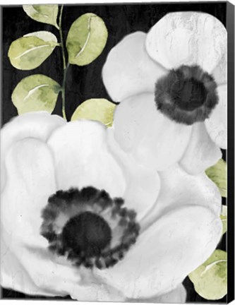 Framed Anemone On Black 1 Print