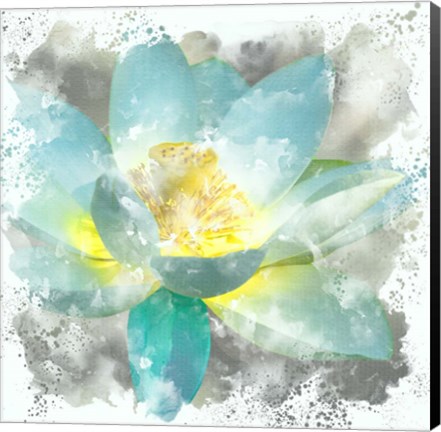 Framed Teal Lotus 1 Print