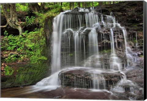 Framed Gunn Brooks Falls Print