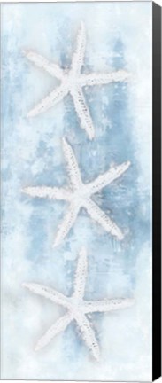 Framed Starfish Panel Print