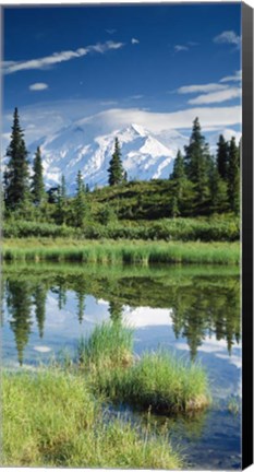 Framed Alaska, Mount McKinley Print