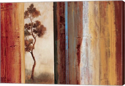 Framed Shadows &amp; Lines II Print