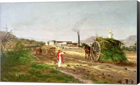 Framed Peasants Collecting Sugar Cane Print