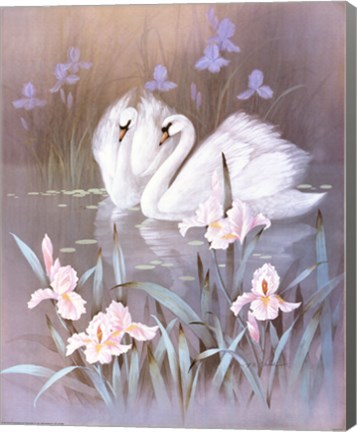 Framed Swans With Waterlilies Print