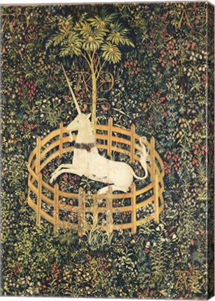 Framed Unicorn in Captivity Print